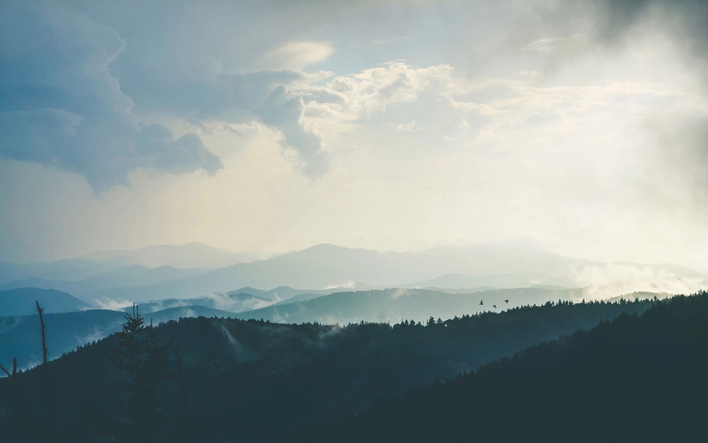Mountains